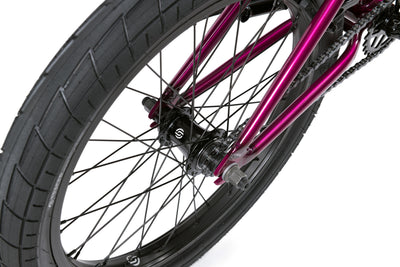 #farbe_trans-berry-blast